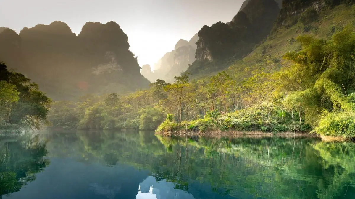 全自动绿色高端